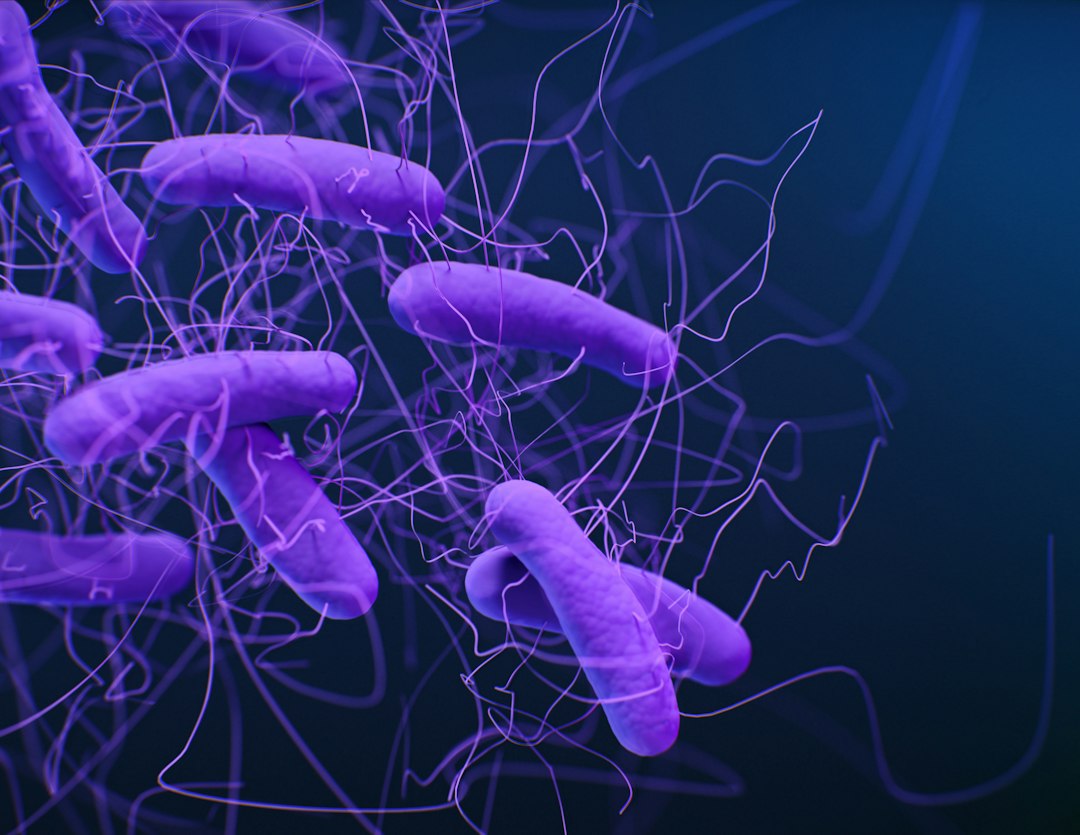 Visual illustration for probiotics vs prebiotics